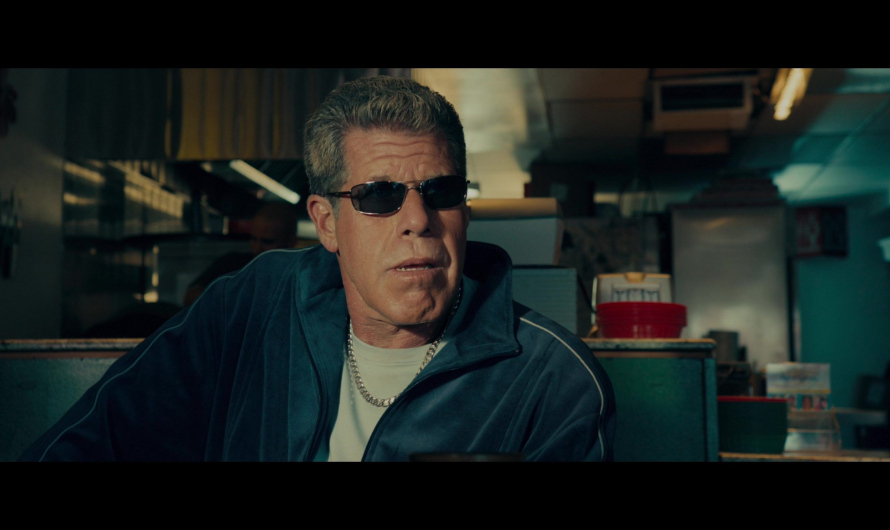 Metal Frame Sunglasses Worn by Ron Perlman as Nino ‘Izzy’ Paolozzi