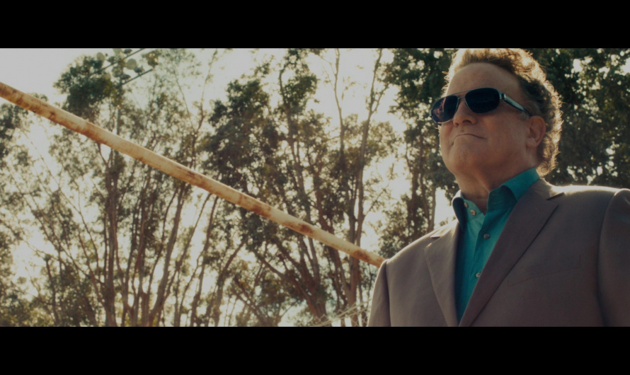 Pilot Sunglasses Worn by Albert Brooks as Bernie Rose