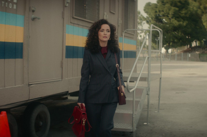 Double Breasted Blazer and Pants Suit of Rose Byrne as Sheila Rubin Outfit Physical TV Show