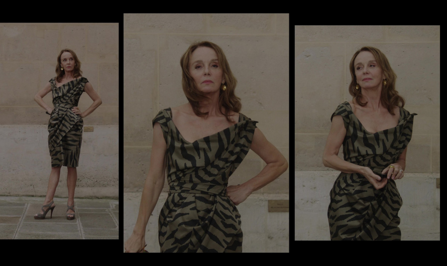 Olive Zebra Print Green Dress Worn by Philippine Leroy-Beaulieu as Sylvie