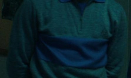 Grey and Blue Quarter Zip Long Sleeve Shirt Worn by Caleb McLaughlin as Lucas Sinclair Outfit Stranger Things TV Show