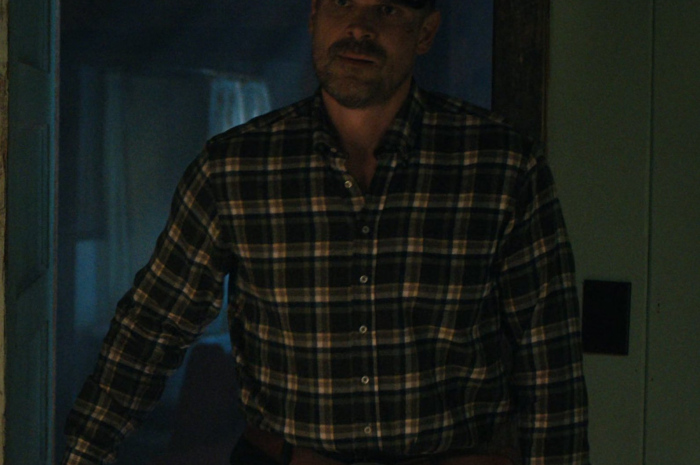 Plaid Long Sleeve Shirt Worn by David Harbour as Jim Hopper Outfit Stranger Things TV Show