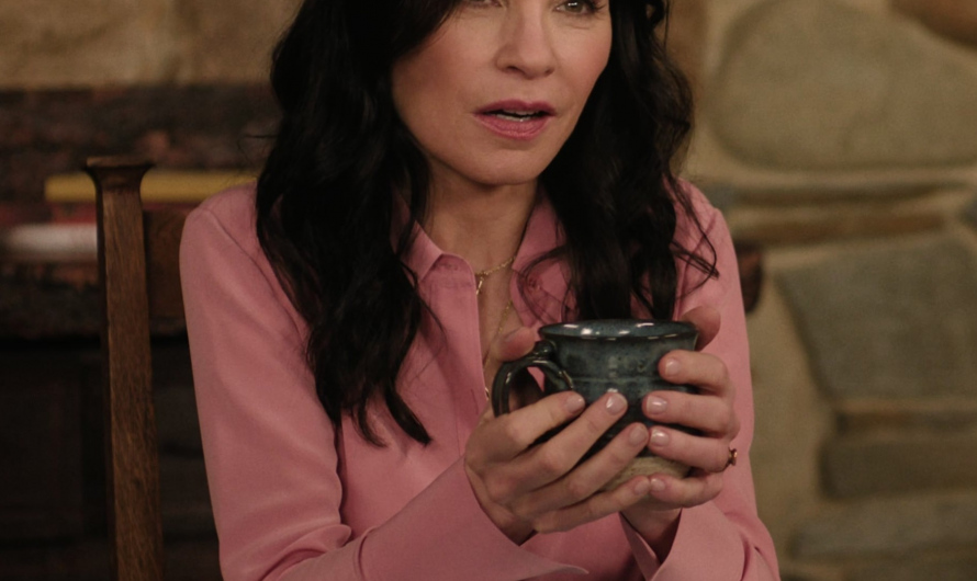 Pink Shirt Worn by Julianna Margulies as Laura Peterson