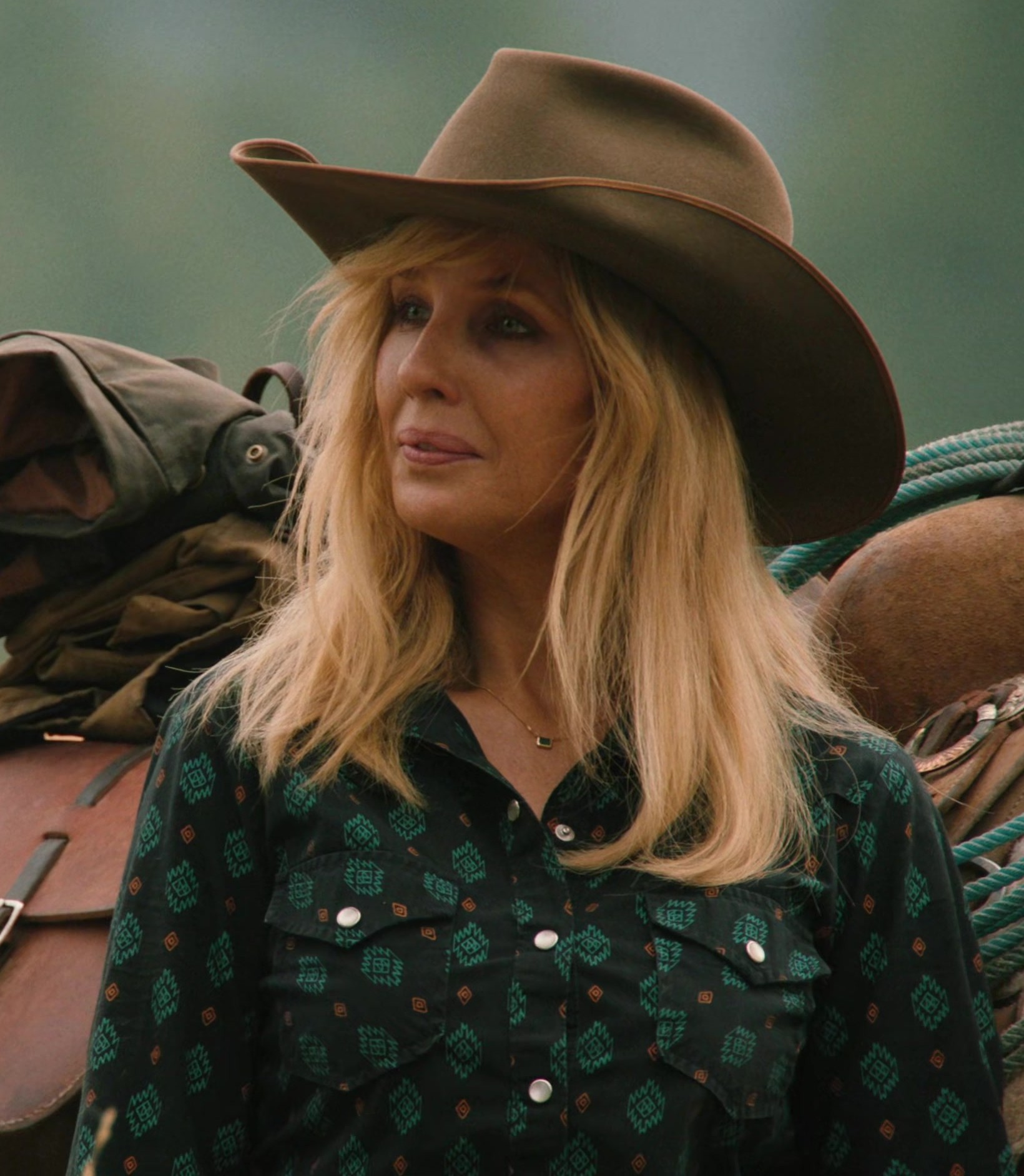 Worn on Yellowstone TV Show - Brown Wide-Brimmed Western Hat of Kelly Reilly as Bethany "Beth" Dutton