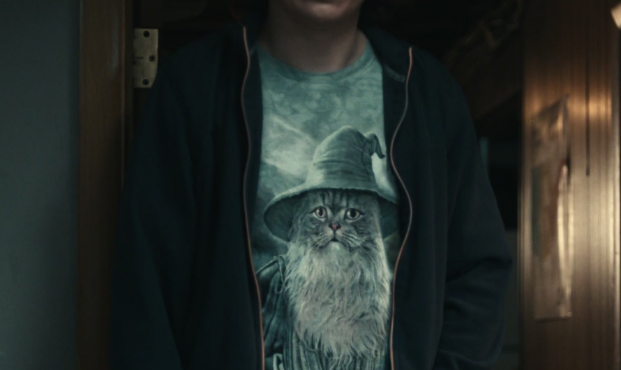 Catdalf – Cat Gandalf T-Shirt Worn by Paul Dano as Keith Gill