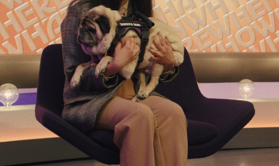 Brown Leather Loafers Worn by Awkwafina as Anne Yum