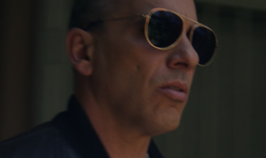 Gold Frame Sunglasses of Sebastian Maniscalco as Danny