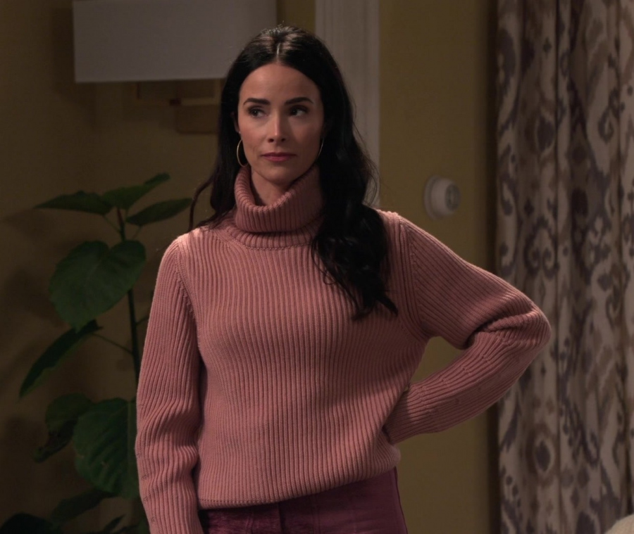 soft pink ribbed turtleneck sweater - Abigail Spencer (Julia Mariano) - Extended Family TV Show