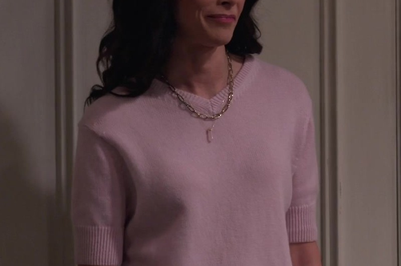 Pink V-Neck Sweater of Abigail Spencer as Julia Mariano
