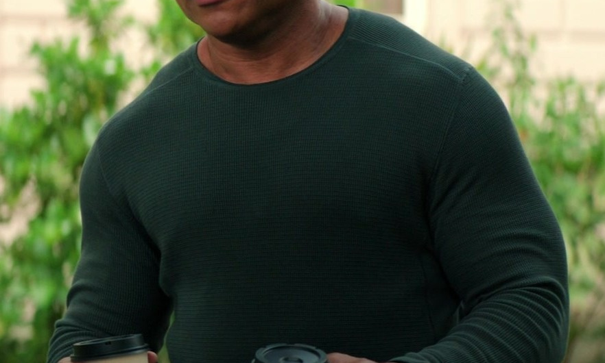 Green Long Sleeve Crew Neck Top Worn by LL Cool J as Sam Hanna