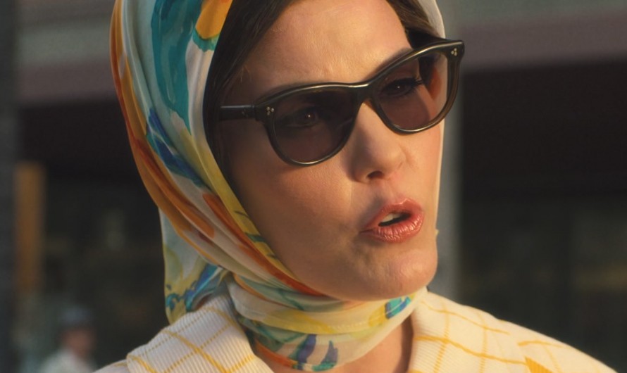 Wayfarer Frame Sunglasses of Leslie Bibb as Dinah