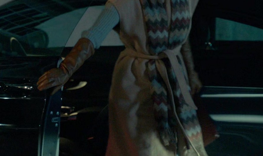 Brown Long Leather Gloves of Jamie Chung as Jasmine